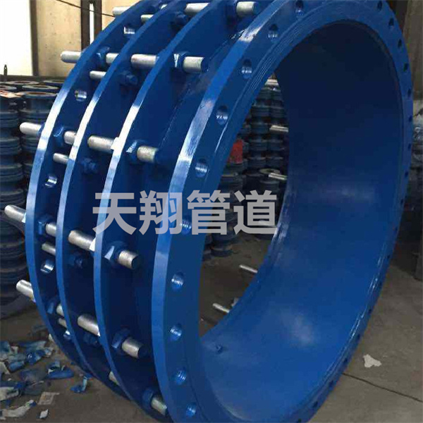 �Ĵ����s���^