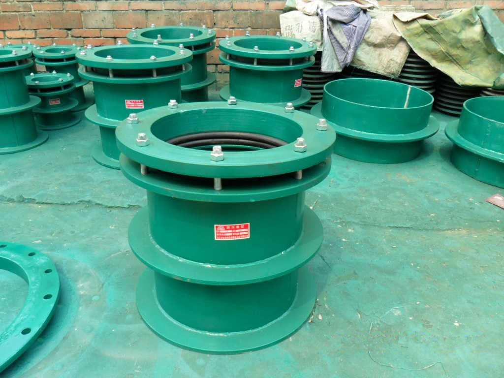 �˷�����ˮ�׹ܵ��L(zh��ng)������x��